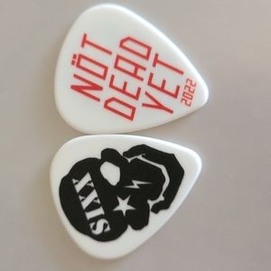 Motley Crue Nikki Sixx Guitar Pick
